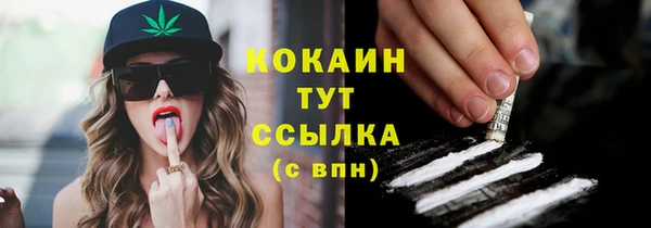 соль курить ск Дмитров
