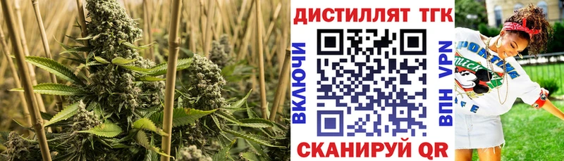Купить  Мариинск  Дистиллят ТГК вейп 