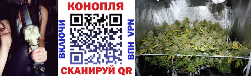 Конопля OG Kush  Купить  Мариинск 